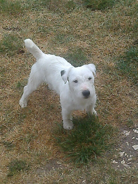 Flocon de l'Eden des Emeraudes